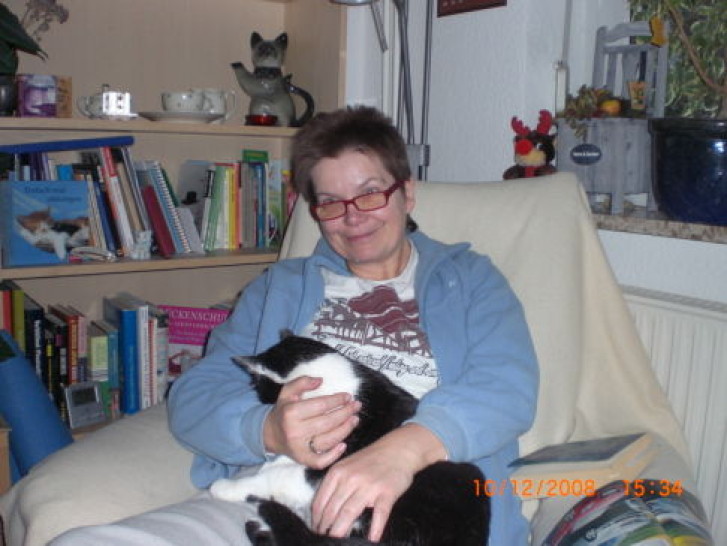 Picture of a cat / kitten / feline