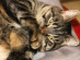 View full size picture