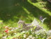 View full size picture