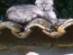 View full size picture