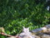 View full size picture