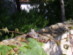 View full size picture