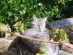 View full size picture