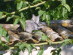 View full size picture