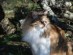 View full size picture