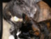 View full size picture