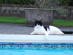 View full size picture