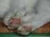 View full size picture