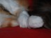 View full size picture