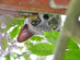 View full size picture