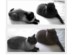 View Full Size - Picture of a cat