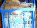 View full size picture