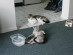 View full size picture