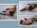 View full size - picture of a cat