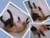 View full size - picture of a cat