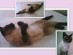 View Full Size - Picture of a cat