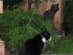View full size picture