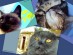 View Full Size - Picture of a cat