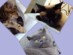 View Full Size - Picture of a cat