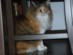 View full size picture