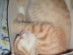 View full size picture