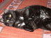 View full size picture