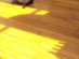 View full size - picture of a cat