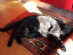 View full size picture