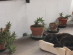View full size picture