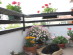 View full size picture