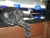 View full size picture