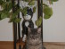 View full size picture