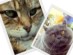View Full Size - Picture of a cat