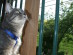 View full size picture