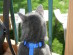 View full size picture