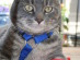 View full size picture