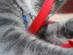 View full size picture