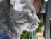 View full size picture