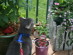 View full size picture