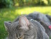 View full size picture
