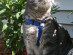 View full size picture