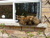 View full size picture