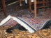 View full size picture