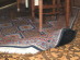 View full size picture