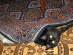 View full size picture