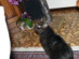 View full size picture