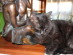 View full size picture