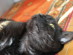 View full size picture