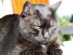 View full size picture