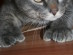 View full size picture